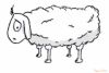 mouton.png